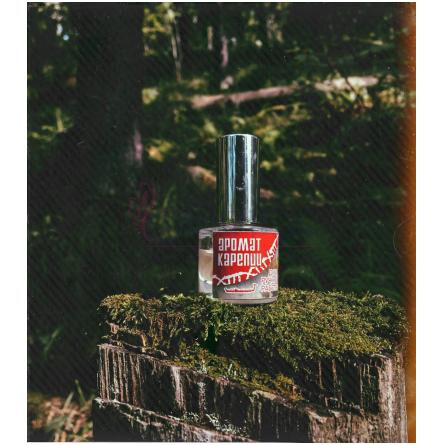 Red (Аромат Карелии - Красный)-اروما کارلیا رد