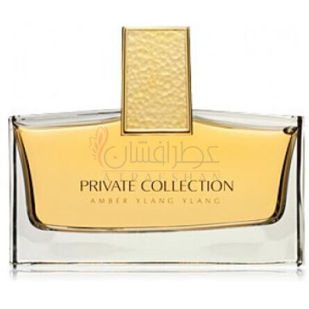 Private Collection Amber Ylang Ylang-استی لودر پرایوت کالکشن امبر یلانگ یلانگ