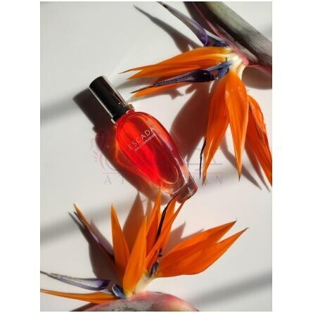 Bali Paradise-اسکادا بالی پارادایس