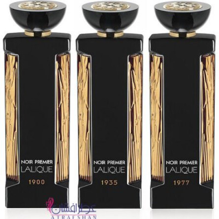 Noir Premier Roses Royale-لالیک نویر پرمیر رز رویال (نواغ پریمیر روزز رویال)