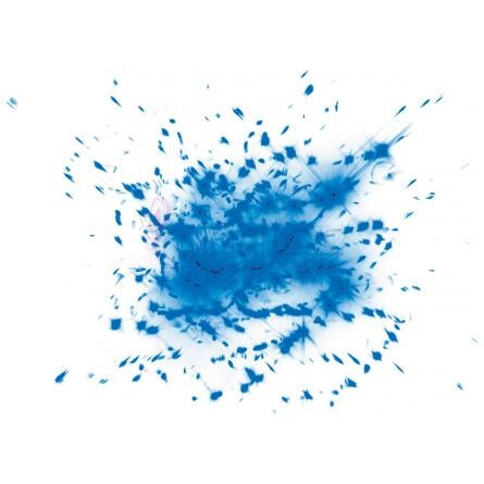 Eau Radieuse-هومیکی اند گریف او رادیوس