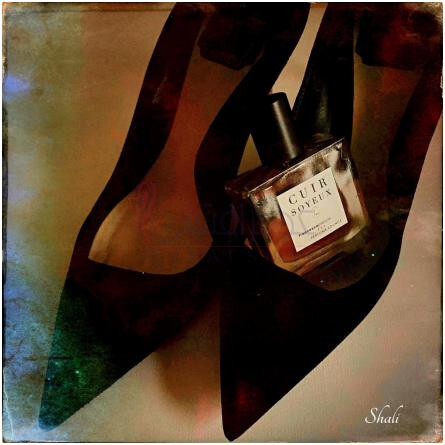 Cuir Soyeux-فرانچسکا بیانکی کویر سویکس