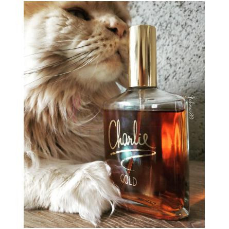 Charlie Gold-رولون چارلی گلد