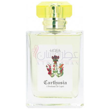 Ligea (Ligea la Sirena)-کارتوزیا لیگیا