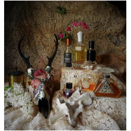 Mimosa & Héliotrope Poudré-100 بان میموسا اند هلیتروپ پودر