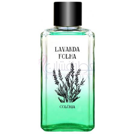 Lavanda Folha-فبو لوندا فولها