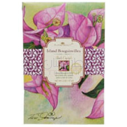 Island Bougainvillea-الوها بیوتی ایسلند بوگنویلا