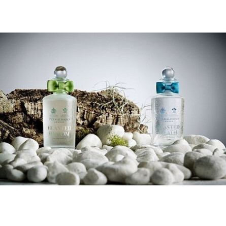 Blasted Bloom-پنهالیگونز بلاستد بلوم