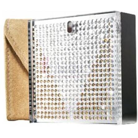 Chic-مایکل کورس شیک