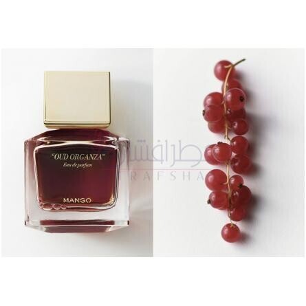 Oud Organza-مانگو عود ارگانزا
