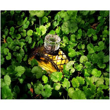 La Riviere Des Parfums-گوستاو ایفل لا ریوری دس پارفومز