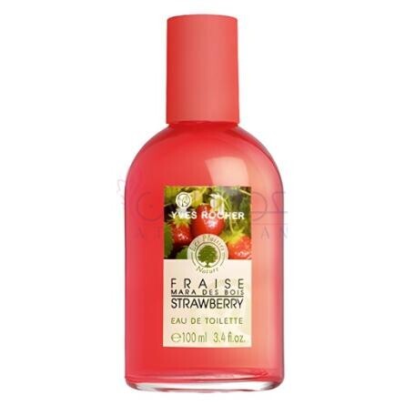 Fraise Mara des Bois-ایو روشه فریز مارا دی بوا