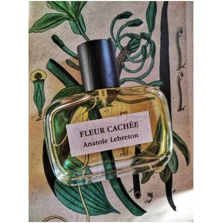 Fleur Cachée-آناتول لبروتون فلور کشی