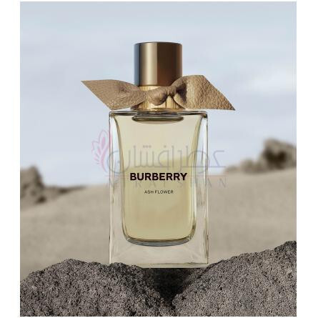 Ash Flower-باربری اش فلاور