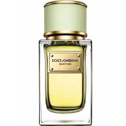 Velvet Pure-دولچه گابانا ولوت پیور