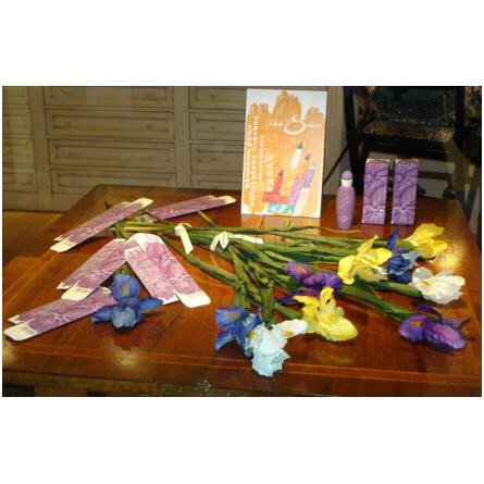 Ti Amo: Iris-هیلد سولیانی تی امو ایریس