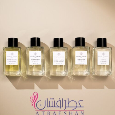 Rose Magnetic-اسنشیال پرفیومز رز مگنتیک