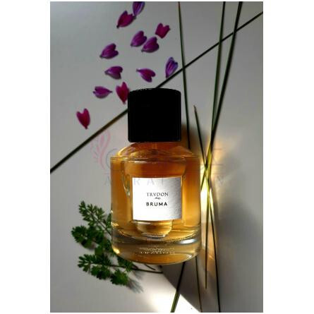 Bruma-میسون ترودون بروما