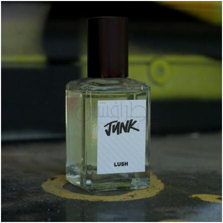 Junk-لاش جانک