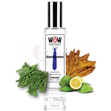 Just Wow Gentlemen-کریشن پرفیوم هاوس جاست واو جنتلمن