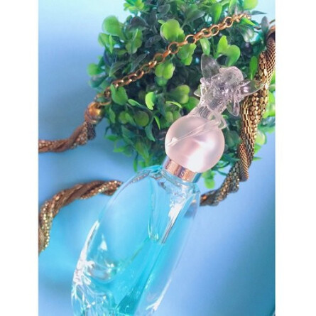 Secret Wish-آنا سویی سکرت ویش