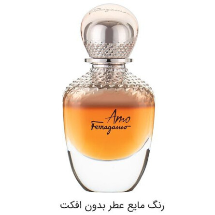 Amo Ferragamo-سالواتوره فراگامو آمو فراگامو