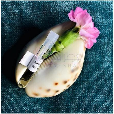 Phloem-جوروم استودیو فلوئم