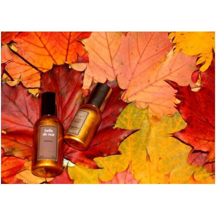 Belle de Nuit Parfum-فراگونارد بل دی نویت پارفوم