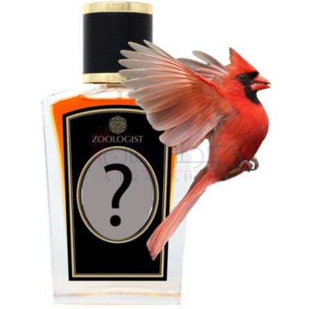 Northern Cardinal-زولوجیست کاردینال