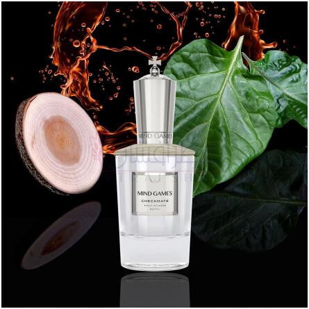 Checkmate-مایند گیمز چک میت