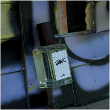 Junk-لاش جانک