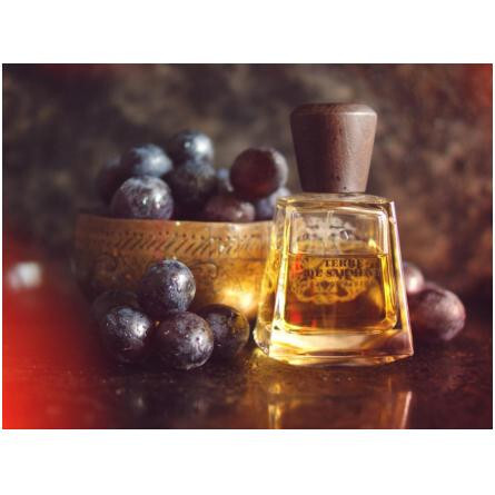 Terre de Sarment-فراپین تق د سارمنت