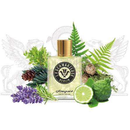 Fougair-جی اف شوارزلوس برلين فوجیر