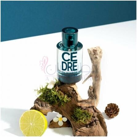 Cèdre-سولینوتس سدری