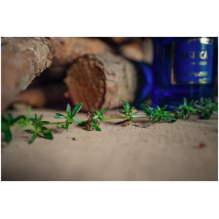 Basilica-میلان فرگرنزی باسیلیکا