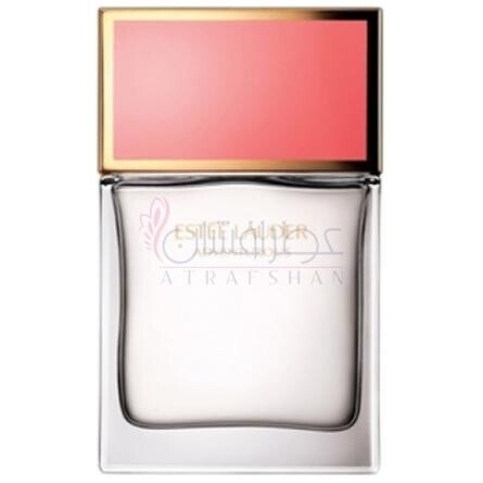 Adventurous-استی لودر ادونتورس