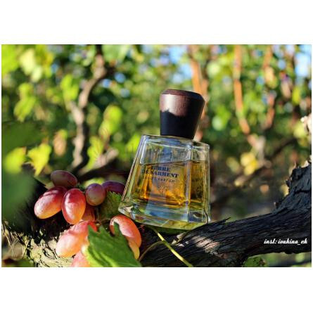 Terre de Sarment-فراپین تق د سارمنت