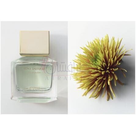 Iris Cashmere-مانگو ایریس کشمیر