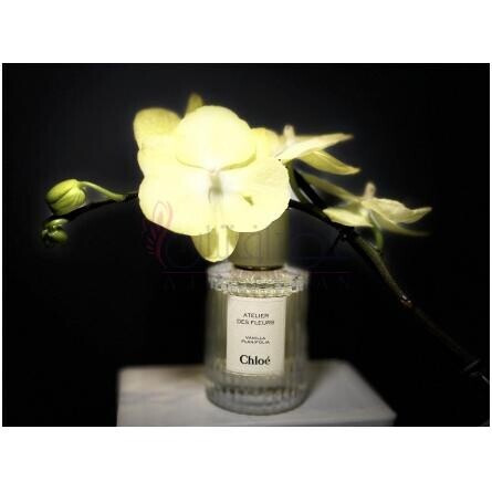 Vanilla Planifolia-کلوهه وانیلا پلنیفولیا