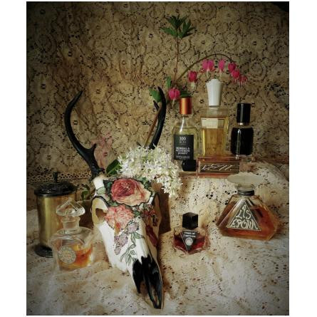 Mimosa & Héliotrope Poudré-100 بان میموسا اند هلیتروپ پودر