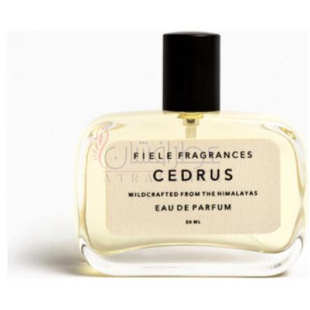 Cedrus-فیله فرگرنسز سدروس