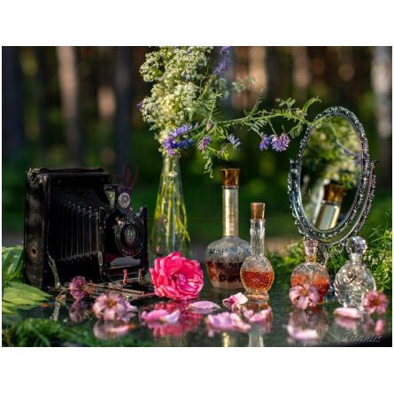 Toujours Moi-کوردی توجورس مویی