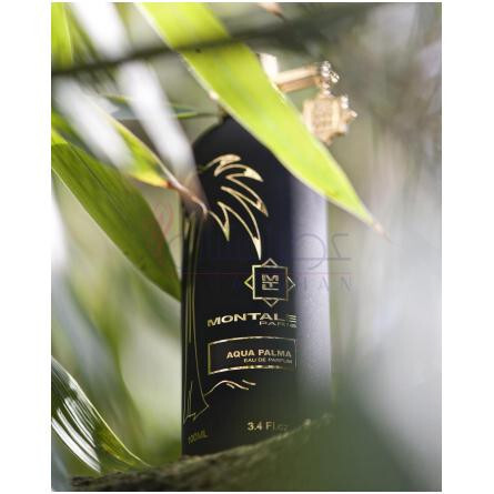 Aqua Palma-مونتال اکوا پالما