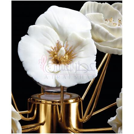 Bee Garden-گرلن بی گاردن