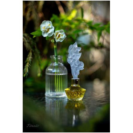 Elusive-اوان ایلوسیو