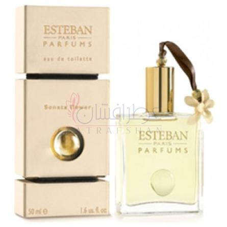 Sonata Flower-استبان سوناتا فلاور