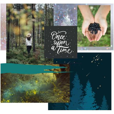 Forest Mist-میس کی فارست میست