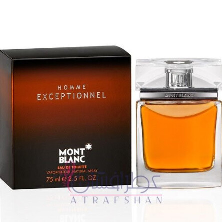 tory burch knock on wood extrait de parfum