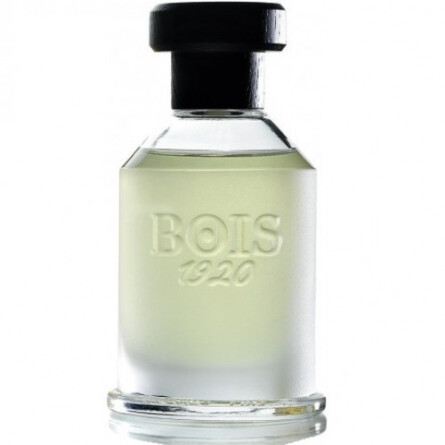 Magia-بویس 1920 مجیا