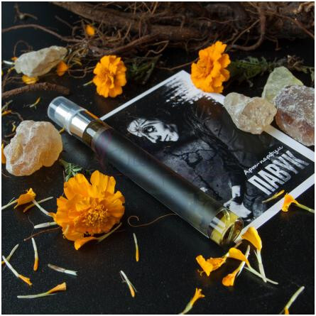 Spider / Павук-چار-زیلیا اسپایدر